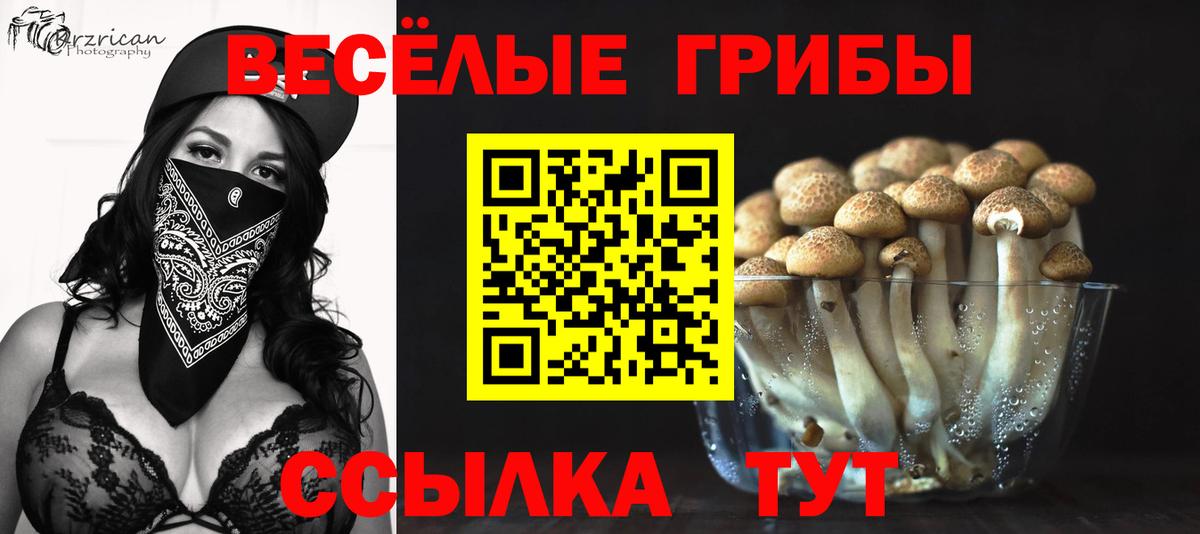 Псилоцибиновые грибы ЛСД  Вход с VPN  Протвино  Псилоцибиновые грибы мицелий 